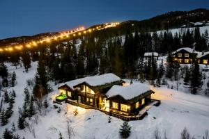 Spacious Family Cabin At Nesfjellet With Views