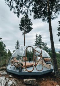 Glass Igloo With Nordic Design In Nature