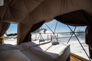 Stargazing Glamping Domes Golte