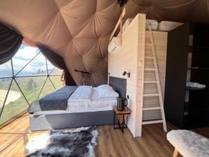 Stargazing Glamping Domes Golte