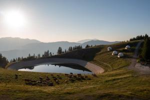 Stargazing Glamping Domes Golte