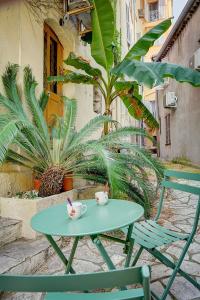 Sandra - Atypical and Charming - Suquet - VCA