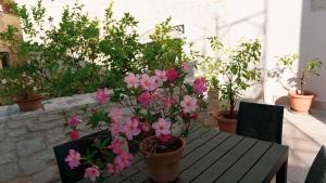 Il Giardino della Giudecca Trani