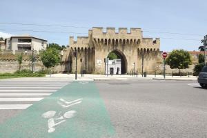 Beautiful studio near the Rhône