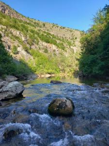 Kuca Lula Stara planina