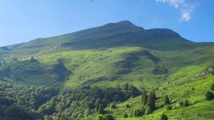 Kuca Lula Stara planina