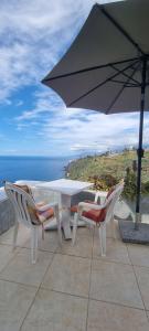 Tropical Leaves Puerto de la Cruz Tenerife