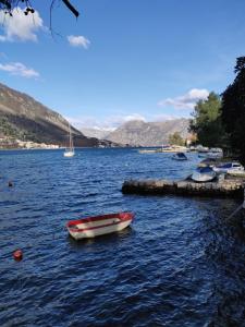 Apartment Loâso Comfy Two BDR Sixty meters to the sea