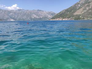 Apartment Loâso Comfy Two BDR Sixty meters to the sea