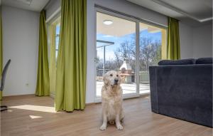 Stunning Apartment In Kostrena