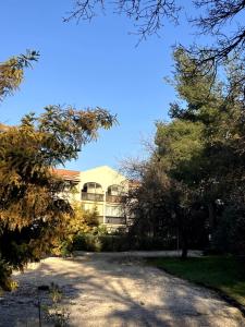 Appartements Home dans la pinede pour 4 personnes : Appartement 1 Chambre avec Balcon