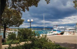 Nice Apartment In Sveti Vid-Miholjice