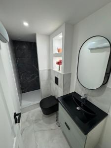 Petit Boudoir Lyonnais neuf terrasse climatisé