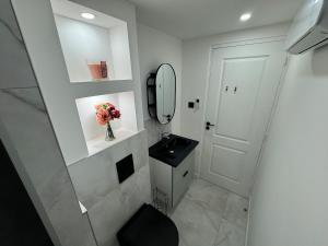 Petit Boudoir Lyonnais neuf terrasse climatisé