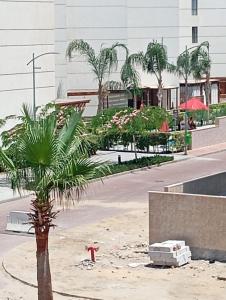 furnished vip studio porto said