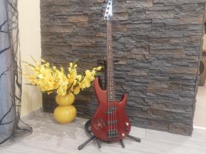 Dellux apartament - PeTra