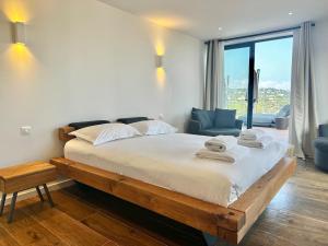 Modern villa with pool