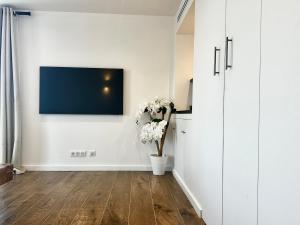 Modern villa with pool