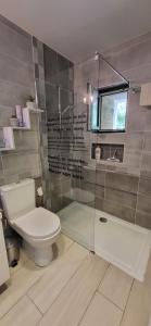 La chaume du marais poitevin avec barque green venice with boat