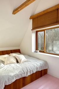 Lines Near Forest And Water