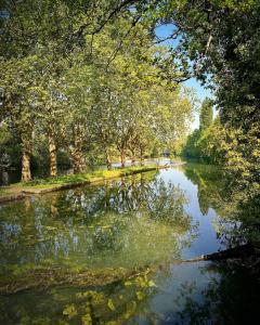 Appartements La chaume du marais poitevin avec barque green venice with boat : photos des chambres