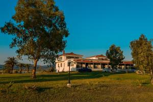 Sithonia Palace Apartments
