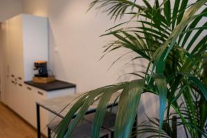 New Roman Experience