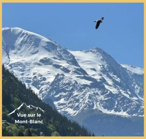 Appartement La Comtesse I Centre de Saint-Gervais