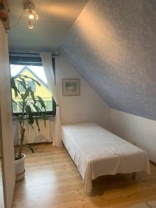 Cozy room and rooms in a town