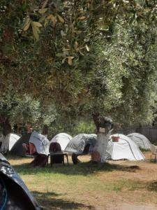 Waveside Camping
