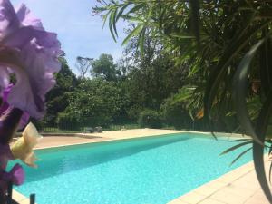 Maisons d'hotes Chateau Pech-Celeyran : photos des chambres