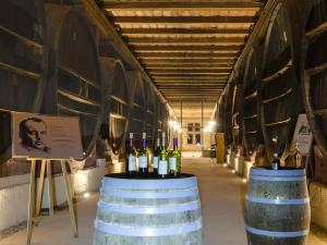 Maisons d'hotes Chateau Pech-Celeyran : photos des chambres