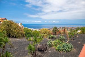 Angel Wings Ocean View