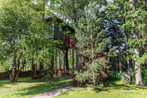 Baba Yaga Treehouse