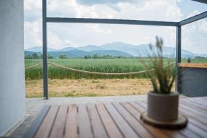 Tiny House Spielberg