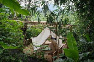 Nysa Forest Sanctuary