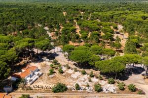 Comporta Serenity Villa