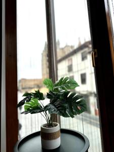 El Brezo con vistas a la Pulchra