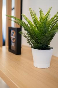 Premium Sea Side Marina Apartment by Locap Group