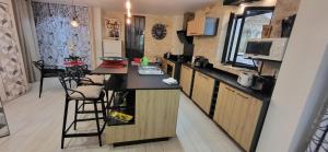 La chaume du marais poitevin avec barque green venice with boat