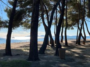 Appartements Home dans la pinede pour 4 personnes : photos des chambres