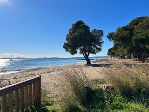 Appartements Home dans la pinede pour 4 personnes : photos des chambres