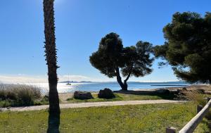 Appartements Home dans la pinede pour 4 personnes : photos des chambres