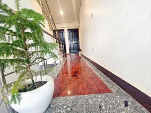 Cocoplum homestay