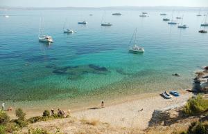 Appartements Home dans la pinede pour 4 personnes : photos des chambres