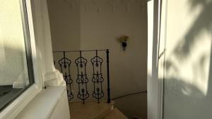 cozy comfortable apartments