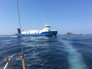 Appartements Home dans la pinede pour 4 personnes : photos des chambres