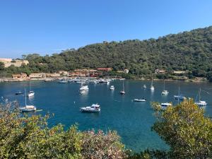 Appartements Home dans la pinede pour 4 personnes : photos des chambres