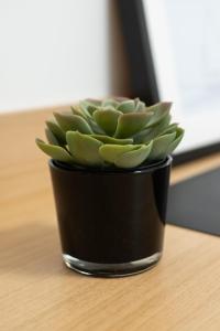 Premium Marina Apartments with Sea View by Locap Group