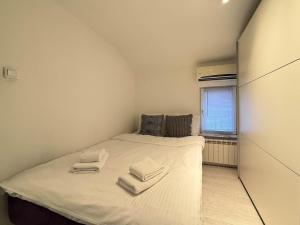 Downtown Cozy Apartment